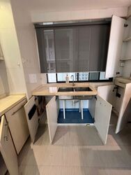 Cavenagh House (D9), Apartment #538090311